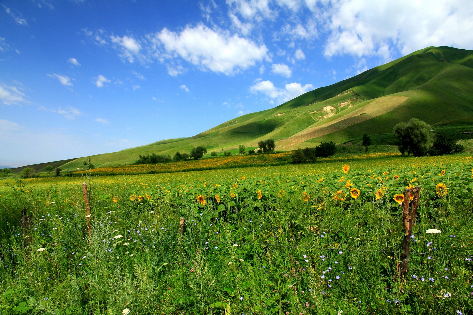 那拉提这个名字源自成吉思汗西征时意为先见到太阳的地方