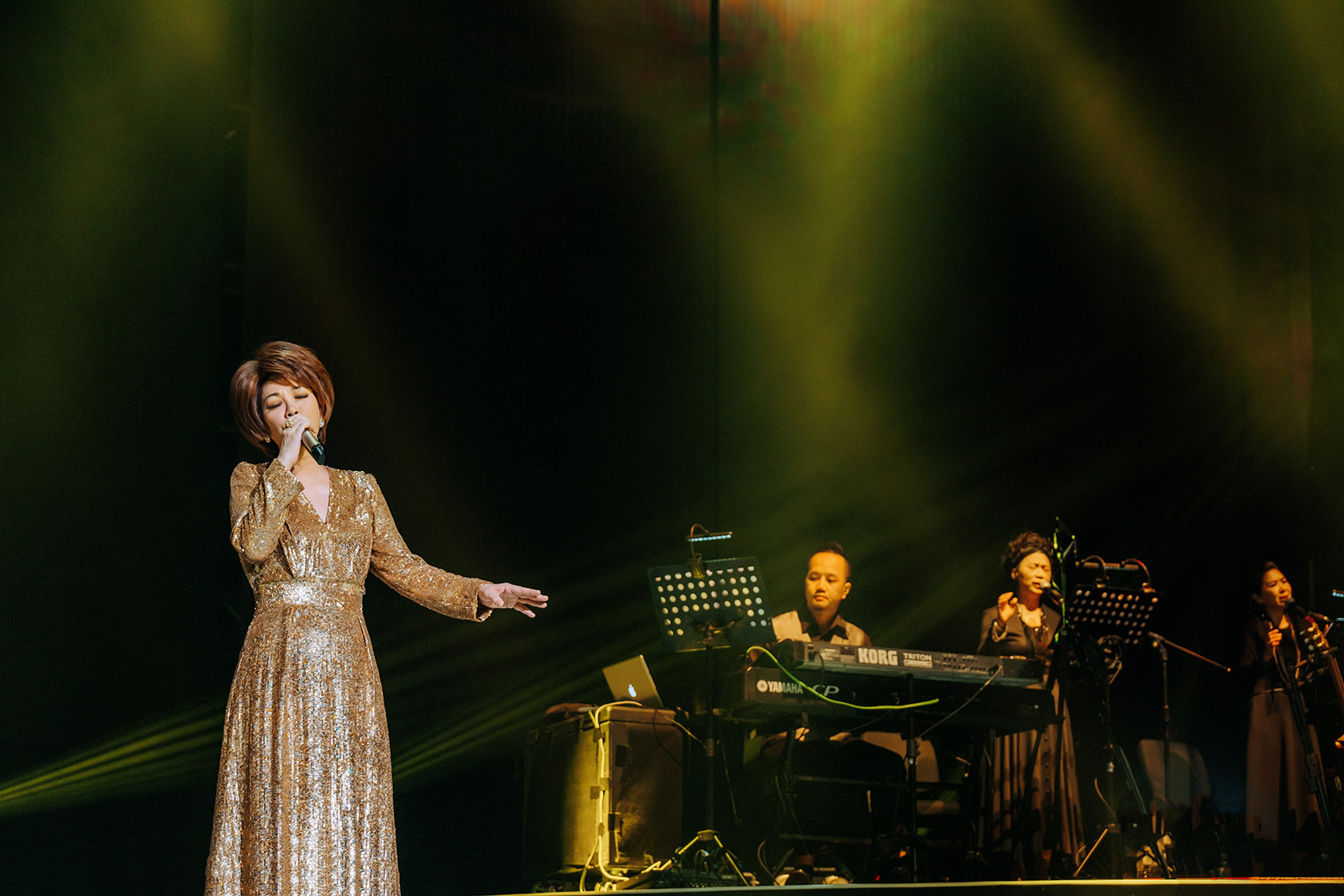 蔡琴"好新琴"演唱会成都站圆满落幕 幽默活泼彰显个人魅力