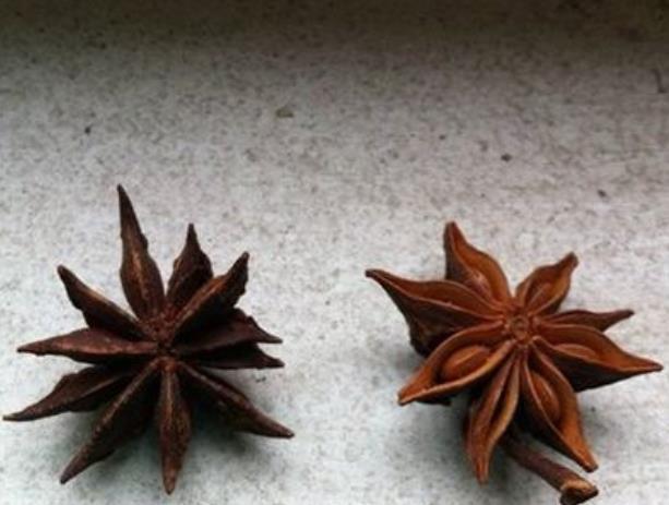 临海seo排名推广公司