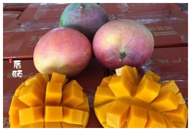 辰颐物语进口越南芽庄澳芒皮薄无丝香甜多汁