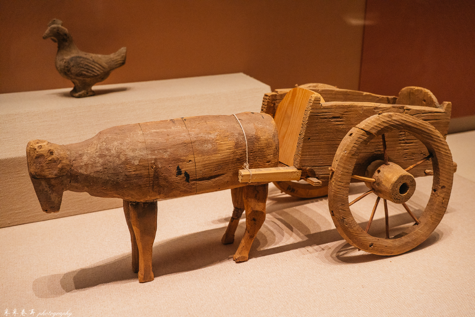 青海省博物馆 江河源文明 奇妙非凡的文明世界 附游览攻略