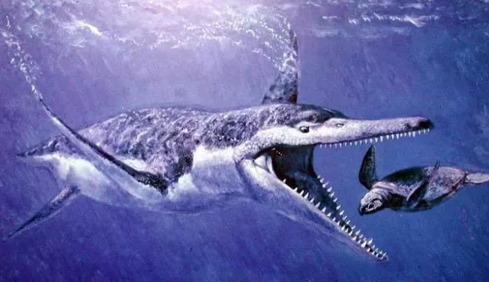 鱼龙鱼龙生存于1.