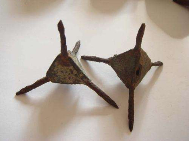 刺蒺藜|蒺藜|铁蒺藜_新浪新闻