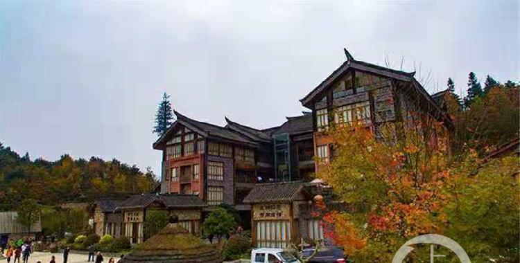 重庆主城最大彩林丰盛彩色森林邀您共赏斑斓秋景|丰盛古镇|巴南区