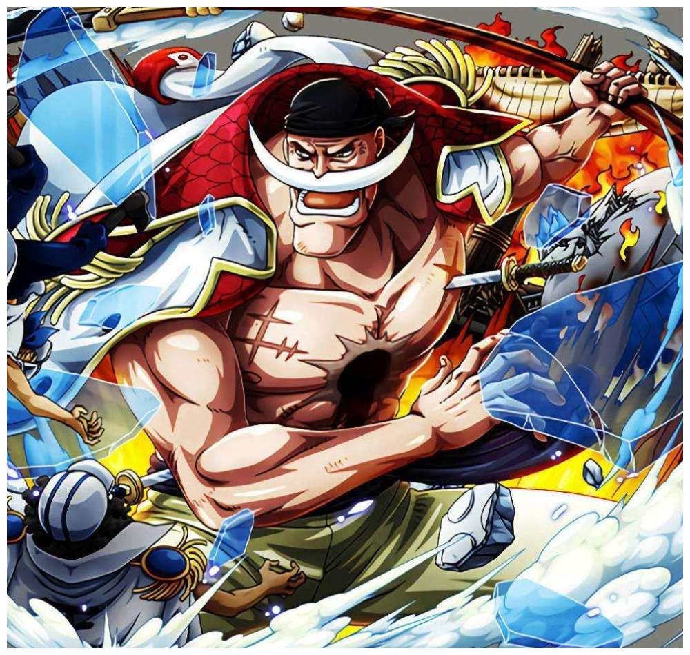 海贼王:实锤了!