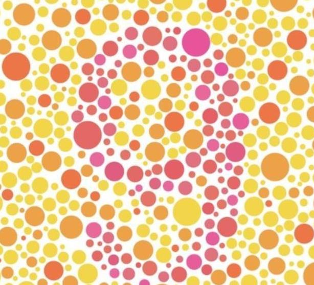 车管所必考盲检测图看不清第3张上的字母基本就是色盲