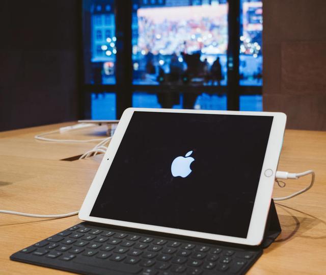 人口普查为什么用平板_人口普查(3)