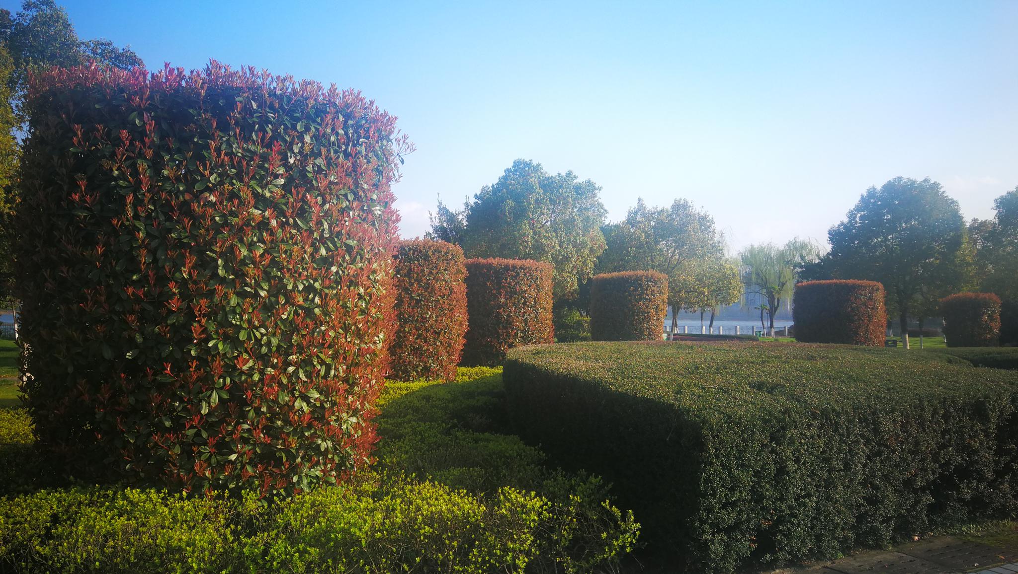 美丽吉安:滨江公园 吉安市最靓丽的滨江风景线