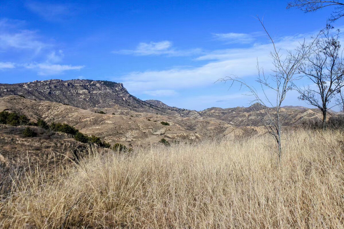 冬日忻州:小山沟里的风景