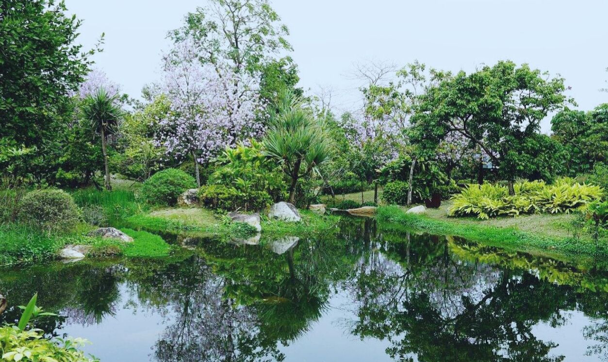 带你走进广州最美的海珠湿地公园请你们欣赏美丽的风景啦