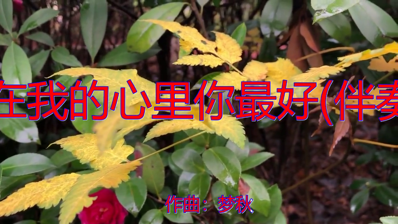 好歌分享,《在我的心里你最好(伴奏)》,听得如痴如醉