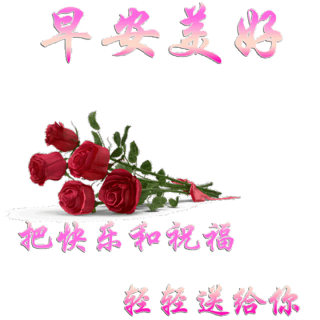 2019最新上好表情祝福图片带字,最温暖的早安问候图片|问候|想你|兰梅