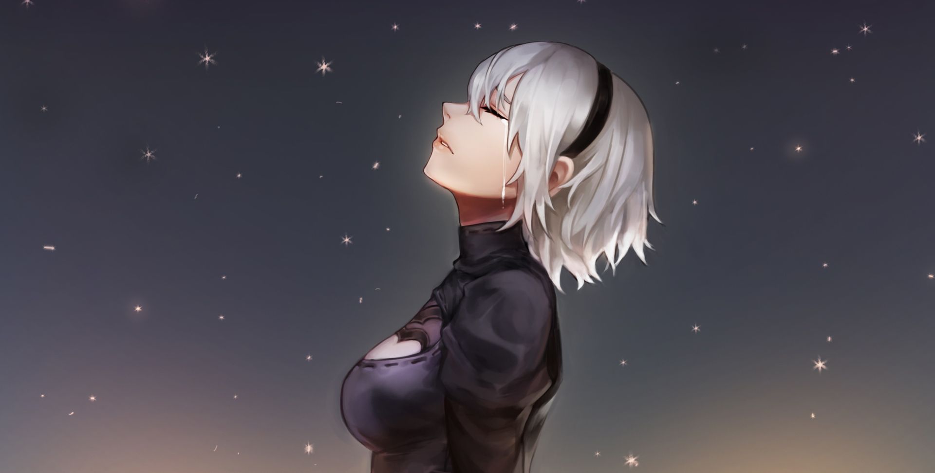 尼尔机械纪元高清壁纸2b姐姐我的爱