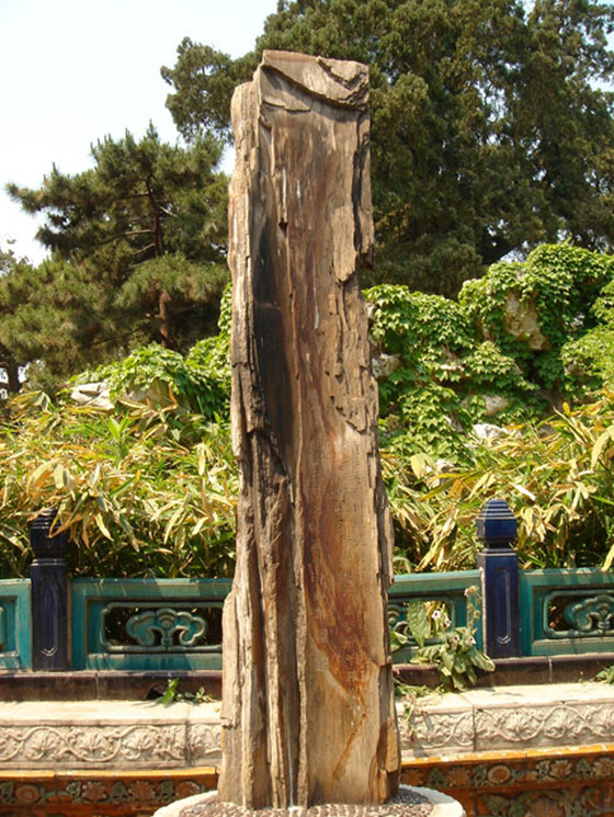 紫禁城御花园三奇石之一,位于御花园天一门西侧,诸葛拜斗石的奇妙之处