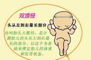 双顶径达到这个值,顺产可就难了,快看看你家宝宝现在多少了?