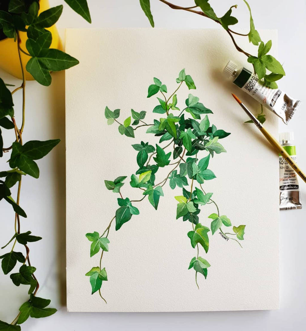 水彩花卉欣赏 唯美又小清新的画