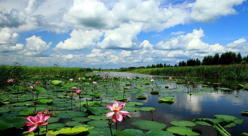 嘟噜河湿地自然保护区位于黑龙江省萝北县南部的嘟噜河村
