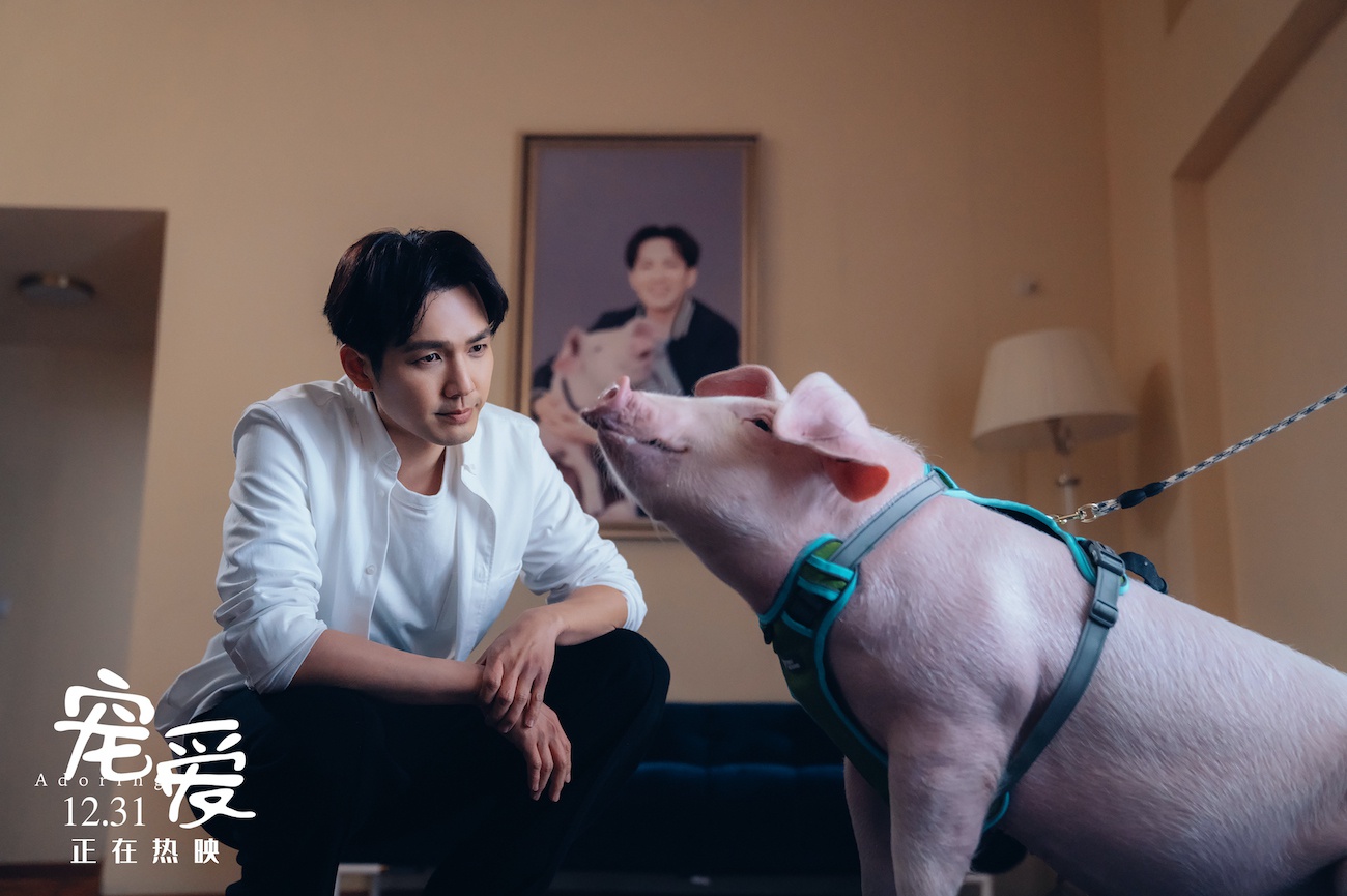 而《宠爱》无疑就是这样一部满足观众心愿的电影