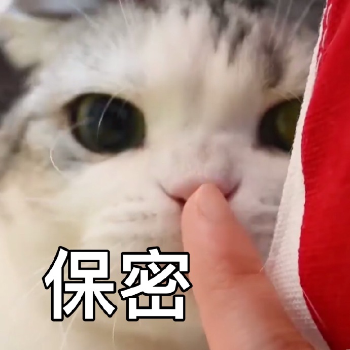 表情包没有人在乎宝宝