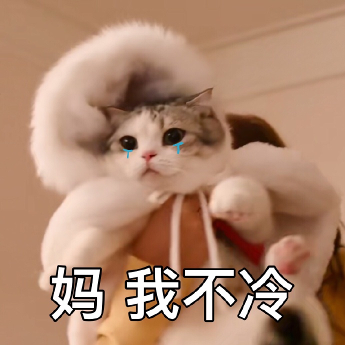 表情包没有人在乎宝宝