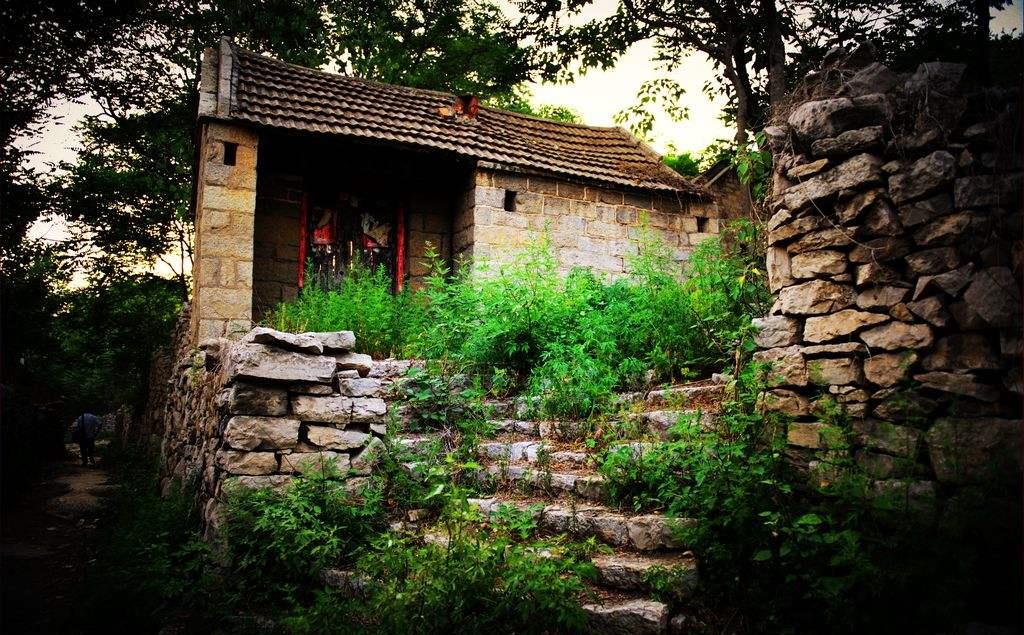 山东农村空心村,房屋紧锁寥无人烟,环境这么美为何留不住人呢?