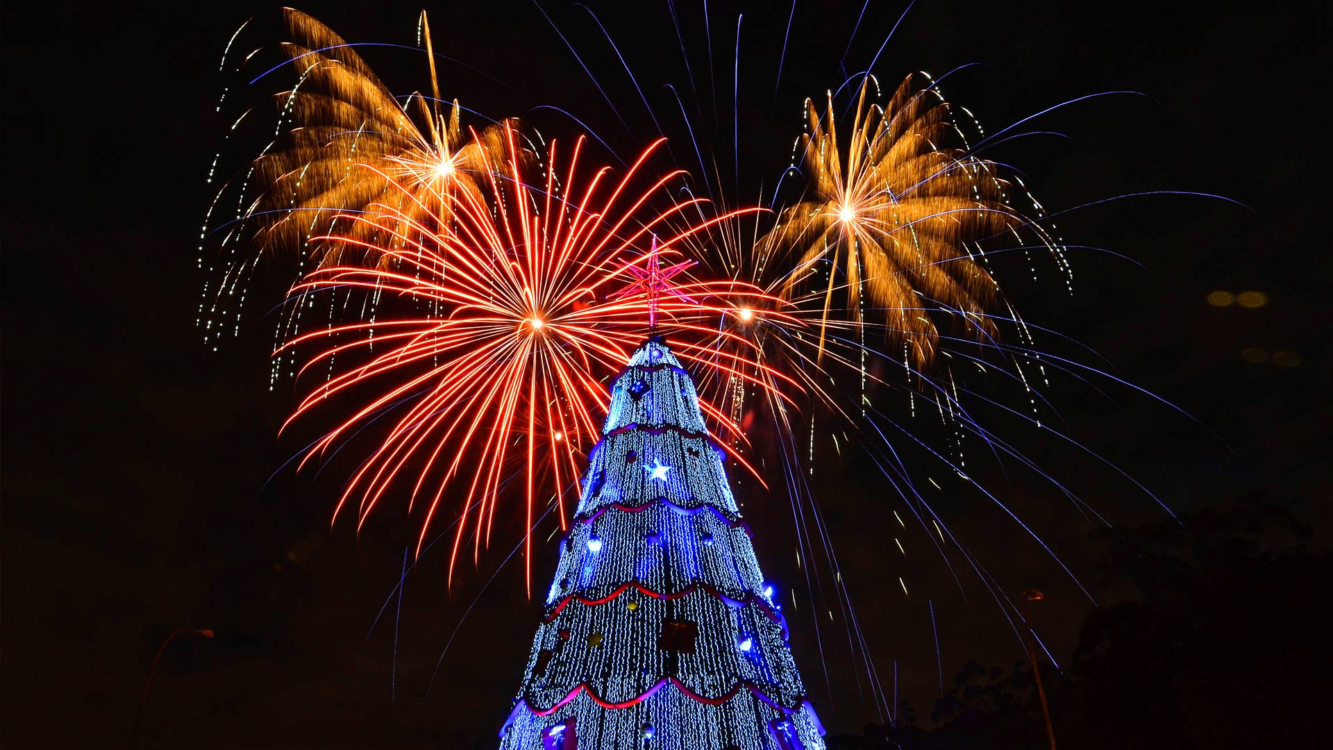 绚烂的夜空烟花壁纸