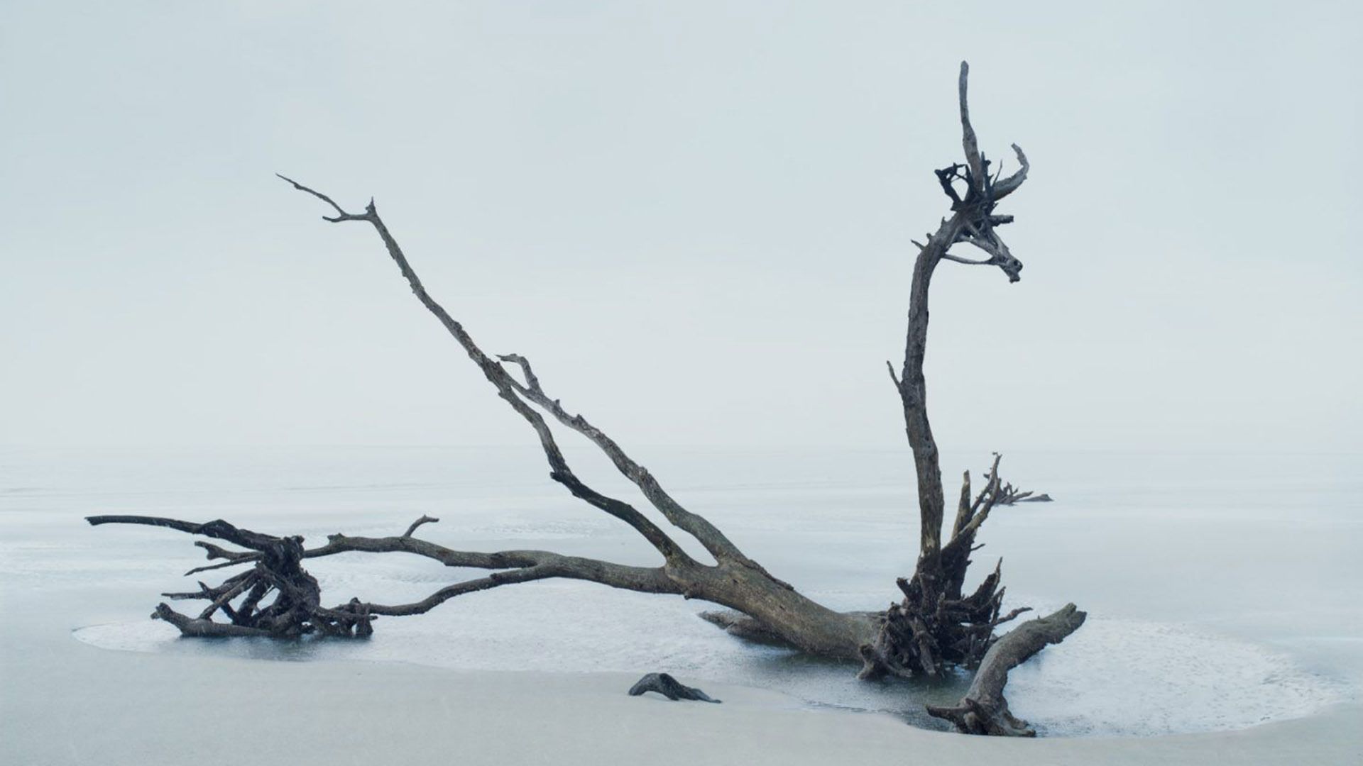 纯白色系列清新创意高清桌面壁纸 - 纯白电脑桌面 - 实验室设备网