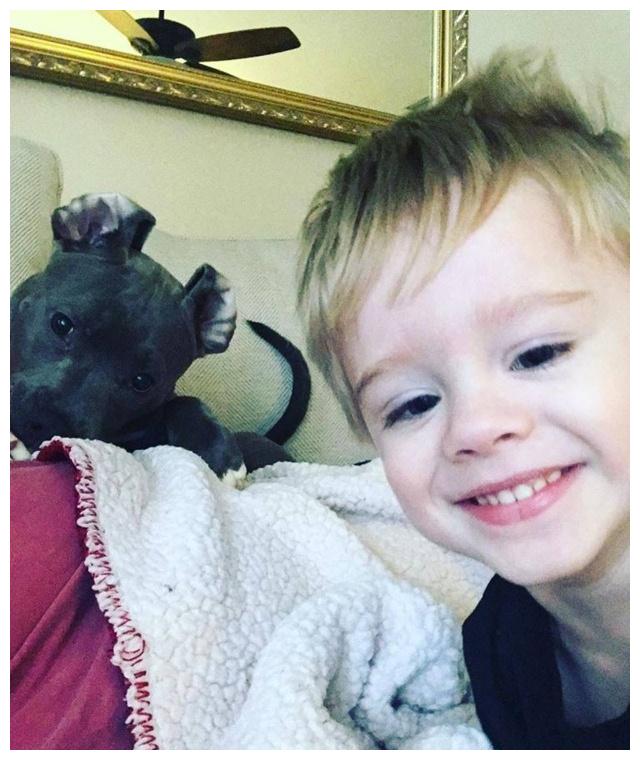 面对孩子的纯真,凶狠的比特犬露出温柔的一面:推着小主人荡秋千