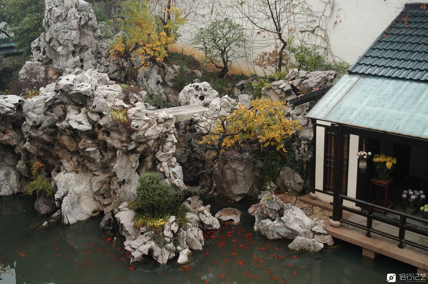 200万元,700吨太湖石,大叔们在苏州闹市建500平院子过古人生活|园林