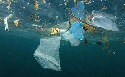 塑料污染—海洋中"会呼吸的痛"__财经头条