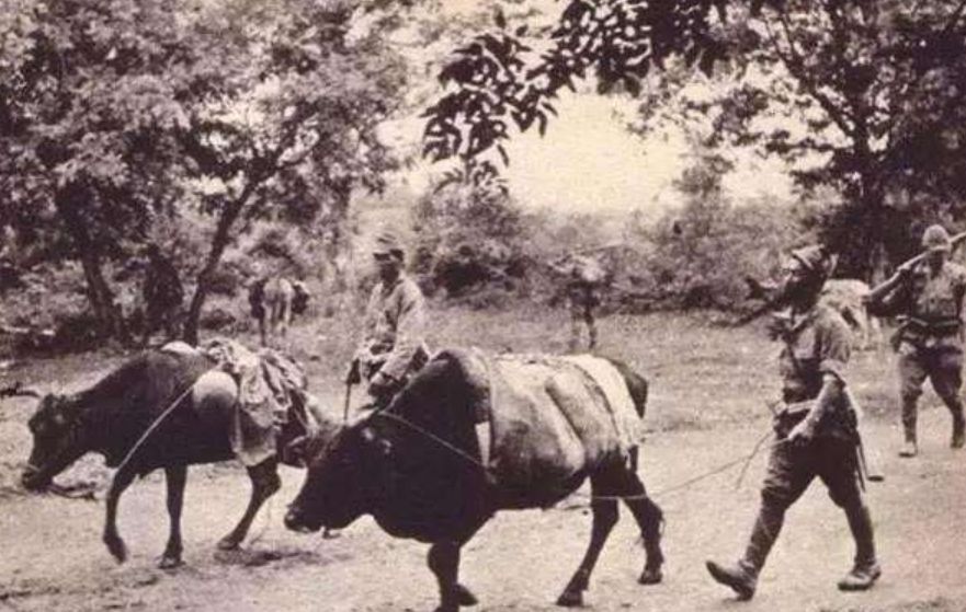 7张真实鬼子进村老照片图3正在进村图7应验了一句话