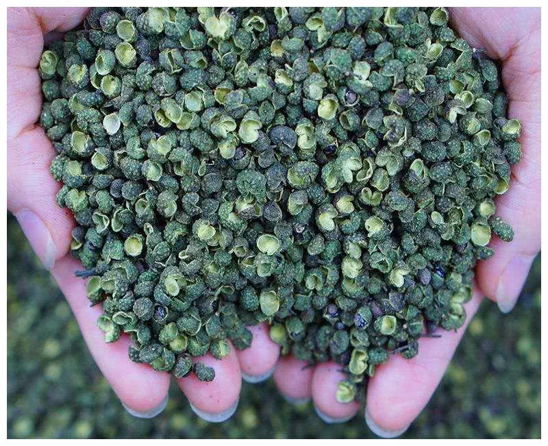 果实没果肉,有人说闻想吐,也不知价格贵,批发价60一斤