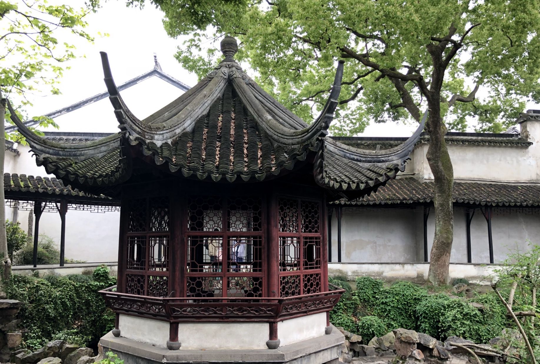 文徵明与拙政园往事 ——不朽的林泉...