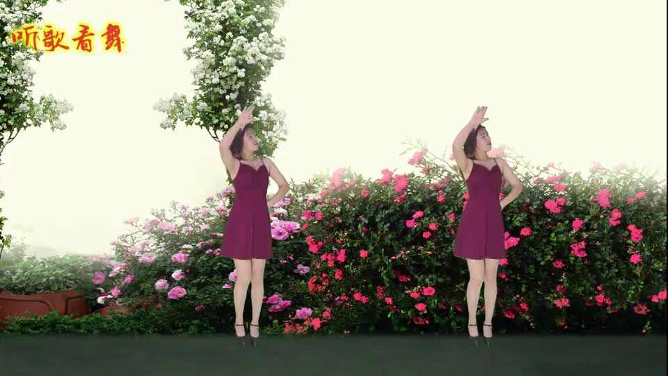 网络火爆情歌对唱歌曲大庆小芳《敖包相恋》音乐时尚又具民族特色