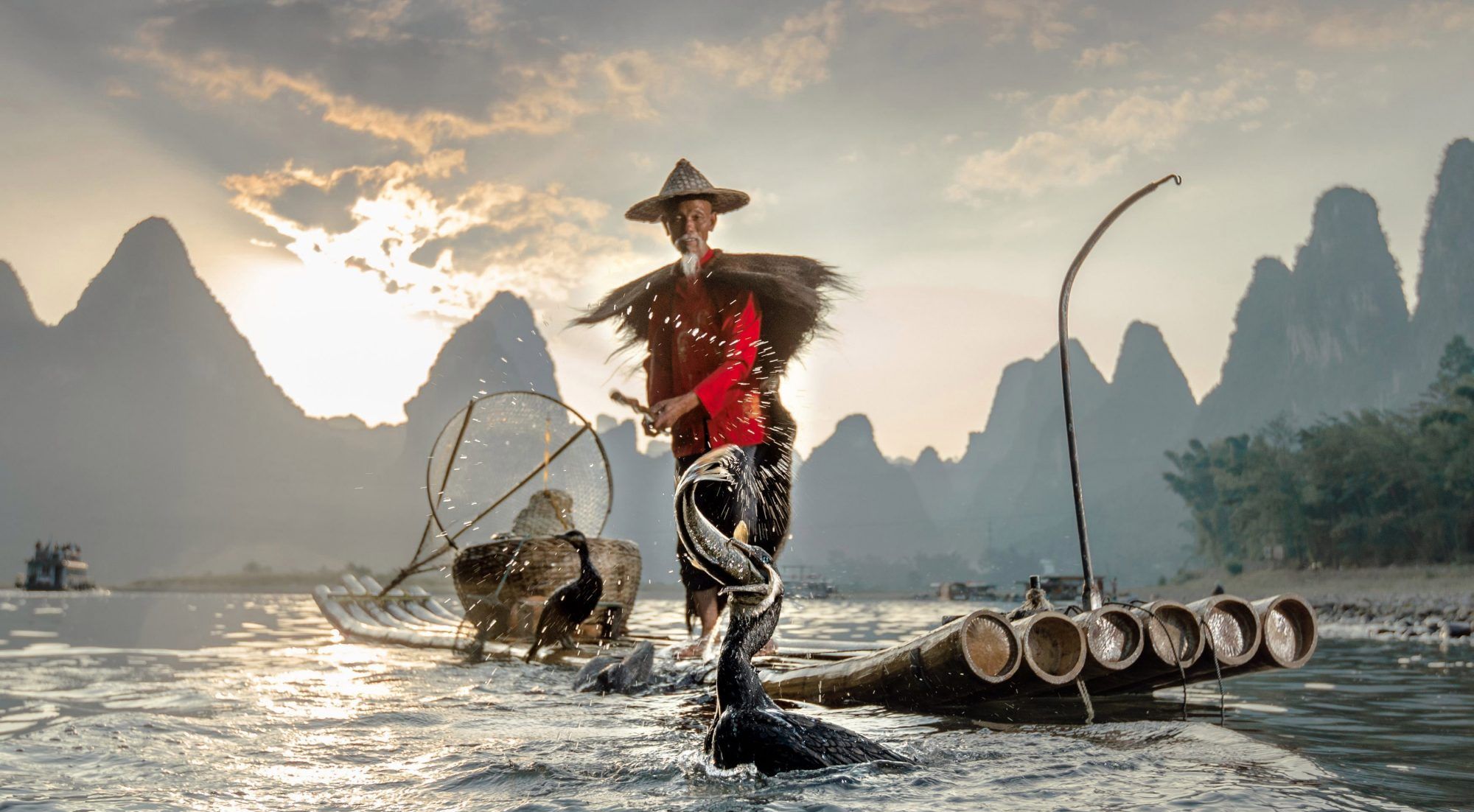 鸬鹚捕鱼的精彩画面中国古老的捕鱼手艺如今却面临失传