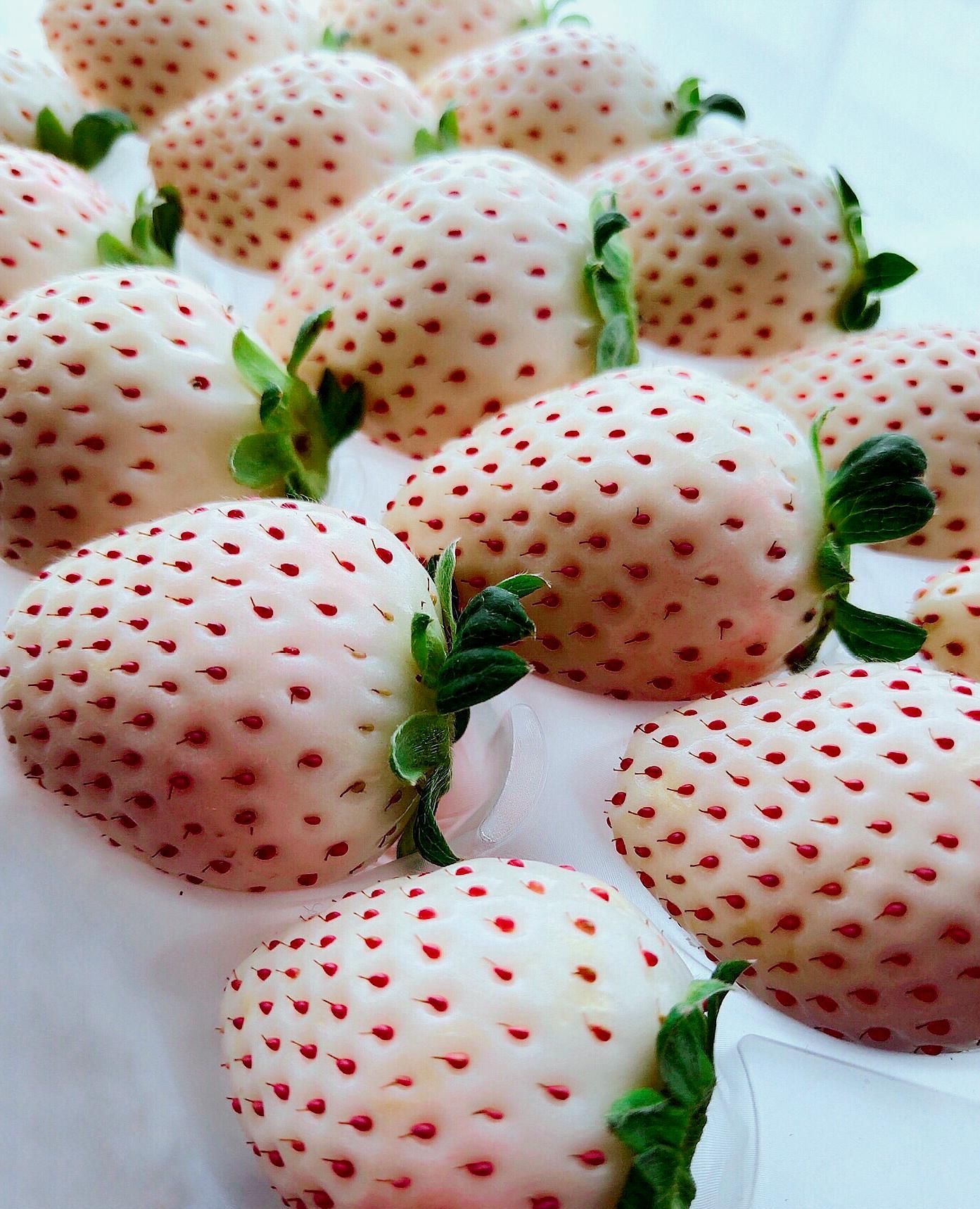 草莓啵啵爆浆蛋糕?｜酸甜清香·好吃不腻!!! - 哔哩哔哩