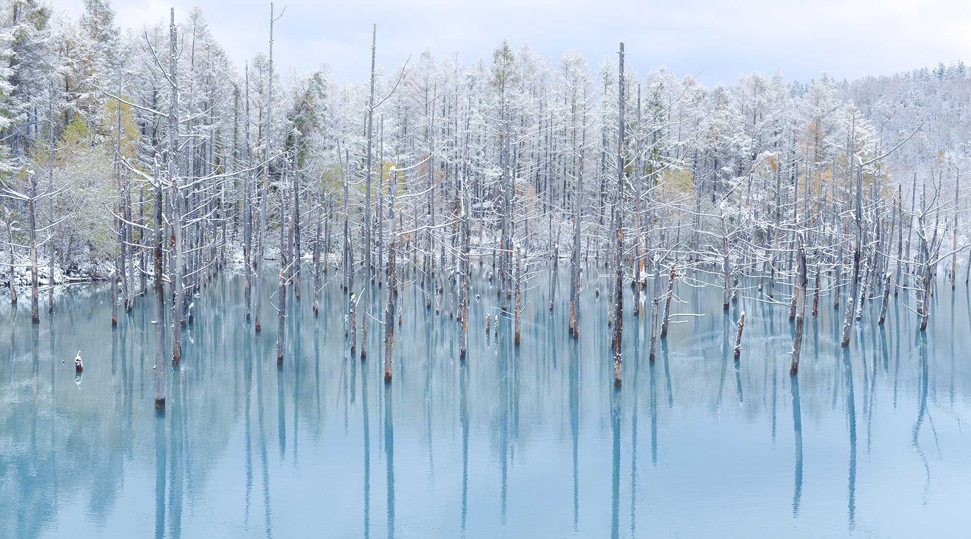 日本冬季限定! 京都必訪可遇不可求的5大絕美雪景｜絕景日本