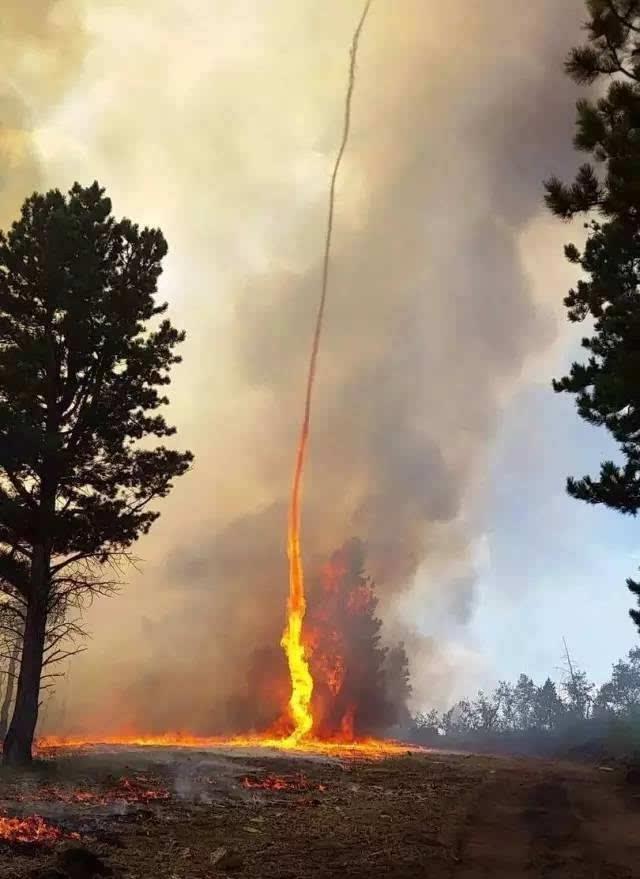 "火龙卷"所到之处皆成灰烬!|龙卷风|灰烬|内核_新浪新闻