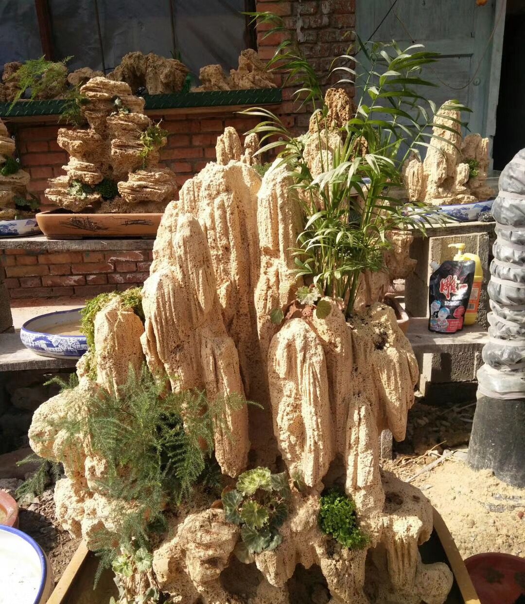 豫西卢氏山区一个小伙子就地取材加工的上水石盆景作品有模有样