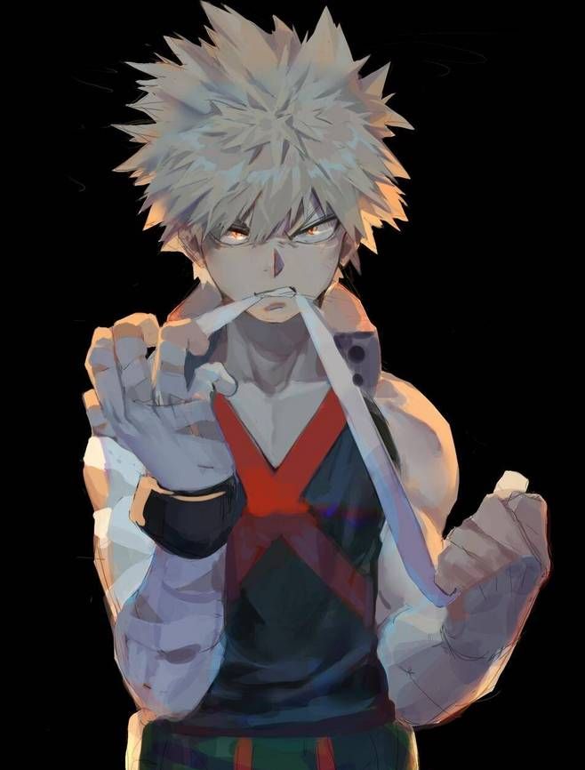 我的英雄学院经典语录plusultra下一个就是你