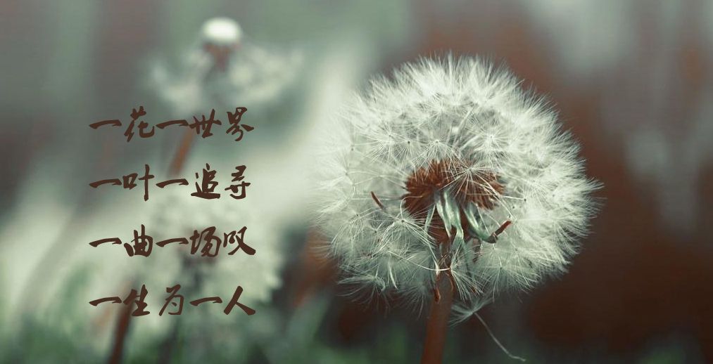 相思树底说相思,思郎恨郎郎不知