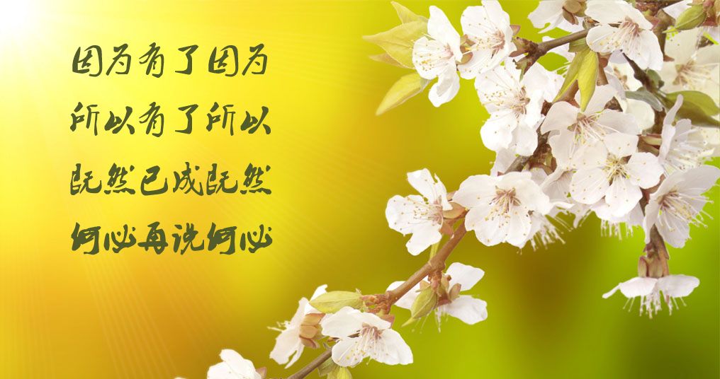 相思树底说相思,思郎恨郎郎不知