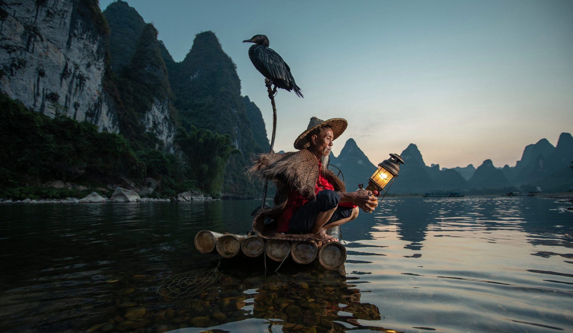 鸬鹚捕鱼的精彩画面中国古老的捕鱼手艺如今却面临失传