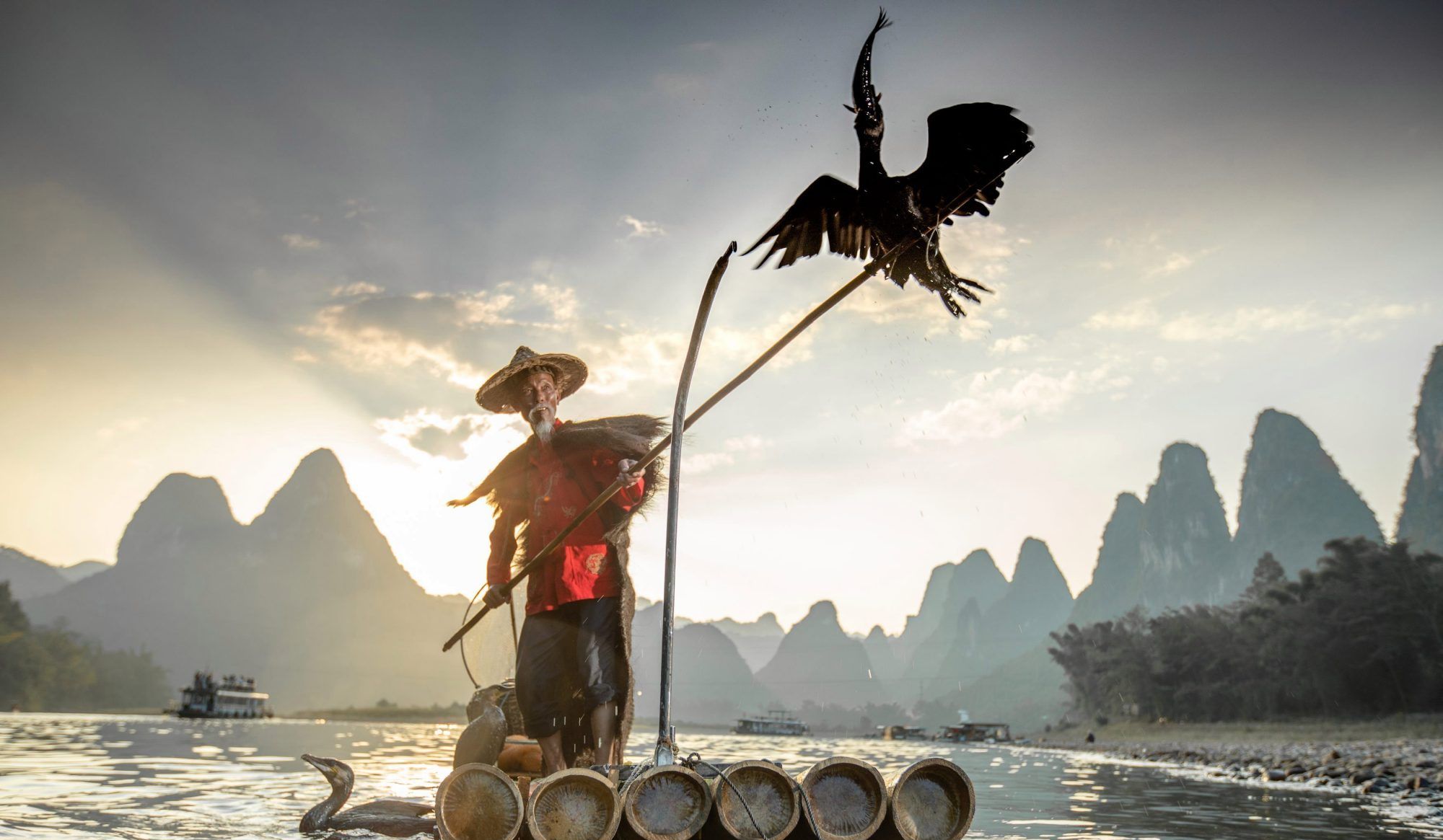 鸬鹚捕鱼的精彩画面中国古老的捕鱼手艺如今却面临失传