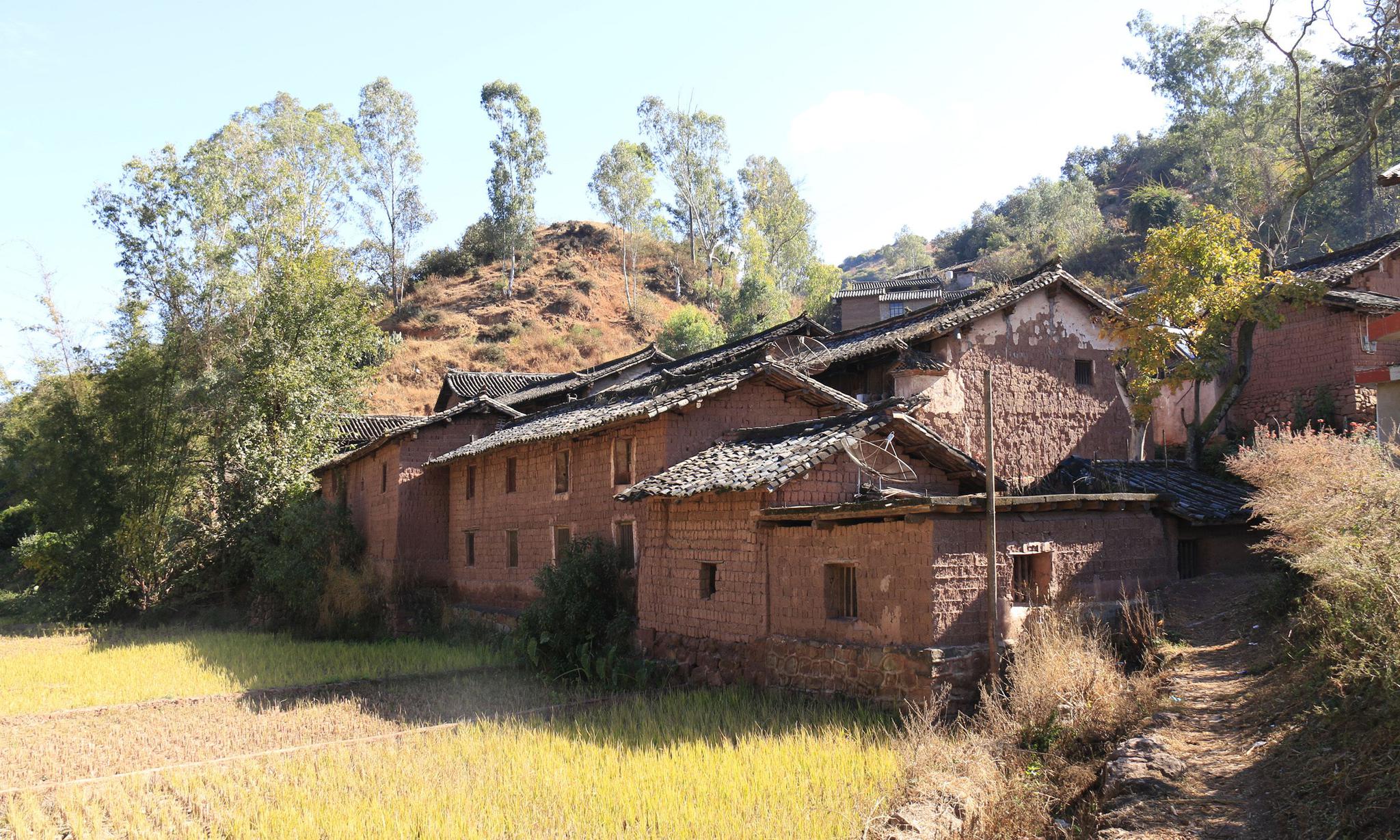 广州花社区高端师资课程揭秘，教育升级如何重新定义社区学习生态