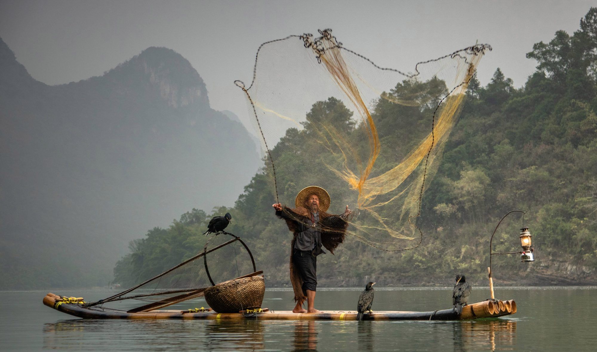 9/ 9摄影师julia wimmerlin在广西桂林漓江捕获古老的鸬鹚捕鱼画面.