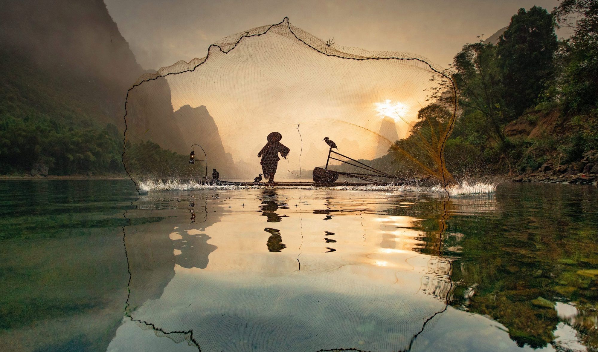 8/ 9摄影师julia wimmerlin在广西桂林漓江捕获古老的鸬鹚捕鱼画面.