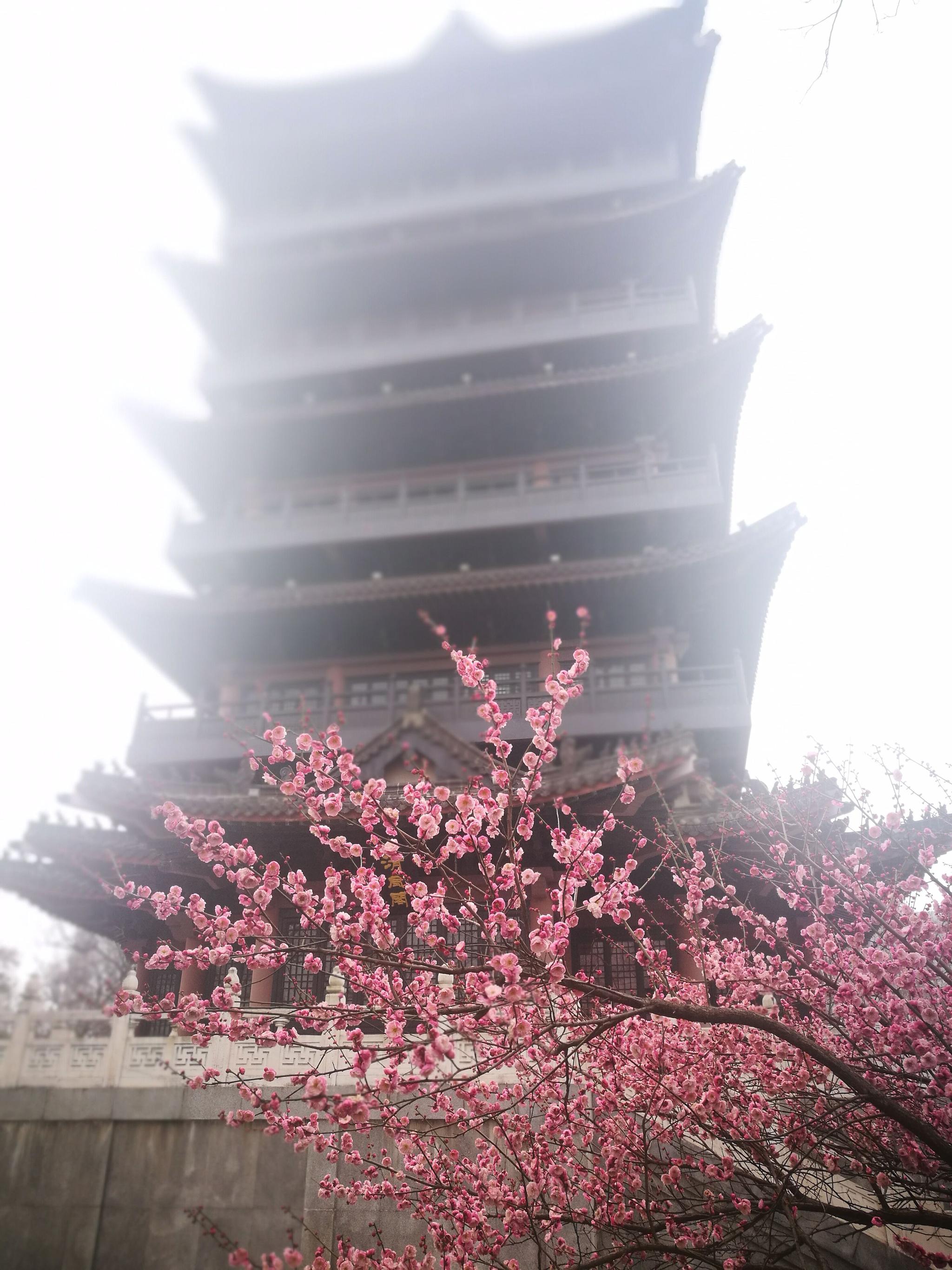 震惊！清风阁我爱干网站到底是什么？为什么大家都在讨论它？