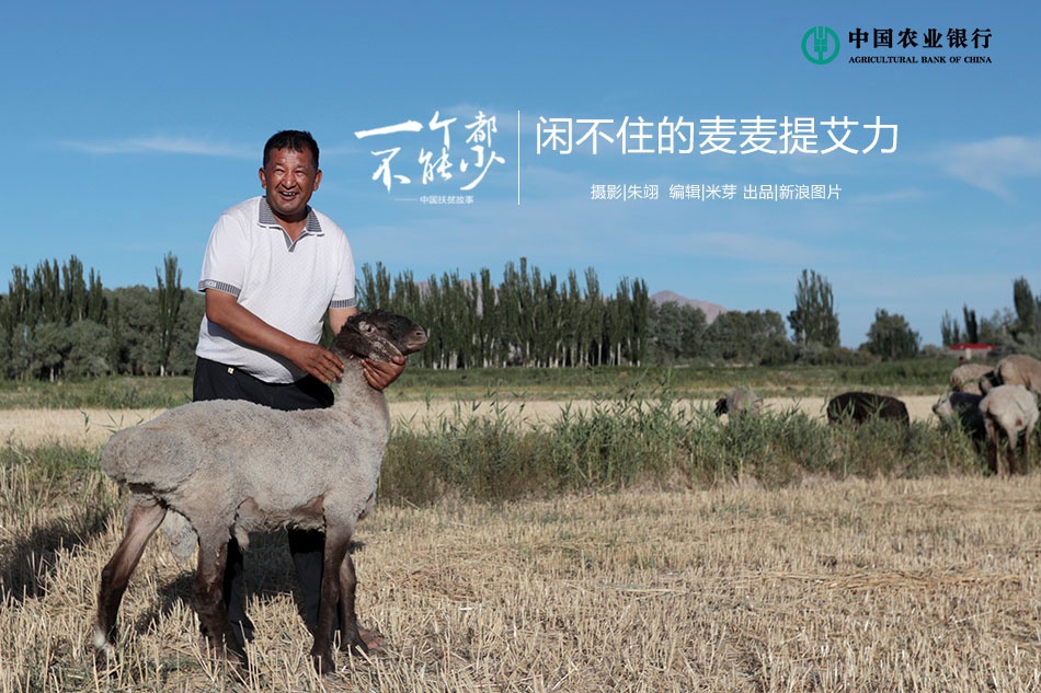 一个都不能少:闲不住的麦麦提艾力·无斯曼