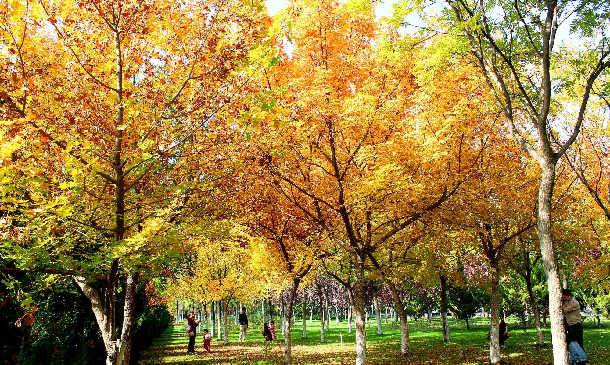 10/ 1410,此处的风景,本人觉得确实是校园里最美的地方,周边的亲们